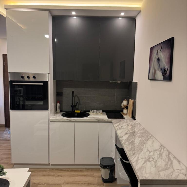 Residence Hill Kopaonik - Apartman sa 1 Spavaćom Sobom - 4
