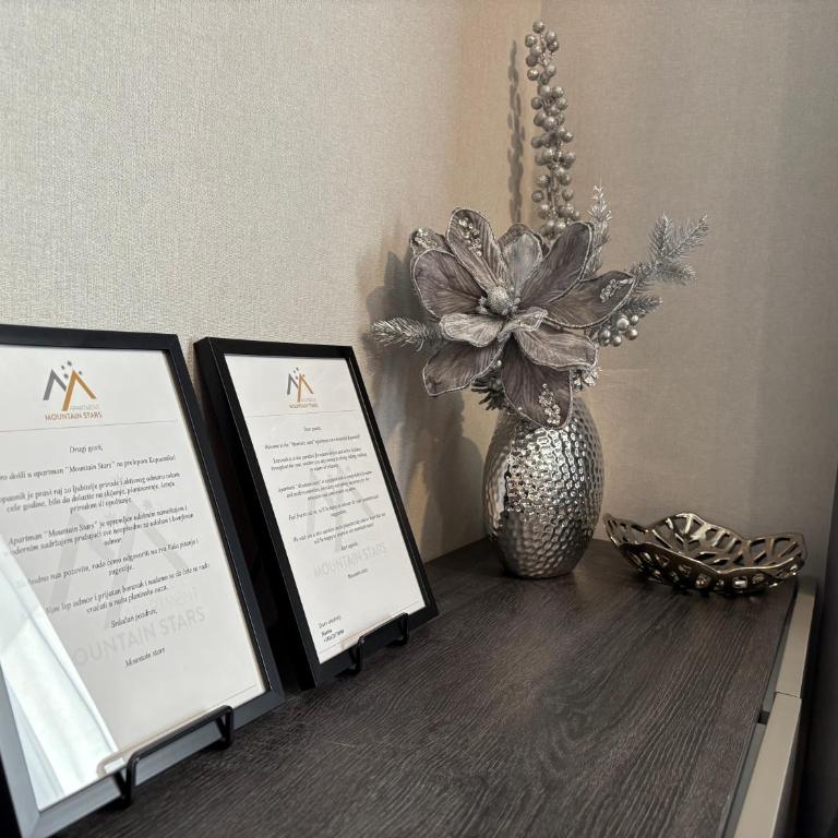 Mountain stars Kopaonik - One-Bedroom Apartment - 20