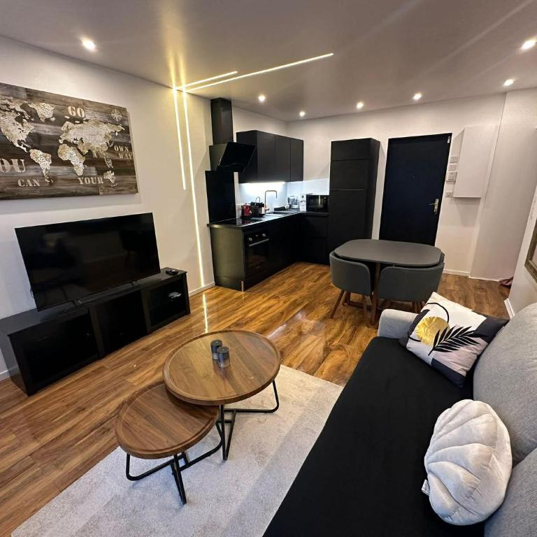 Djokovic Colmar - Apartment mit 1 Schlafzimmer - 4