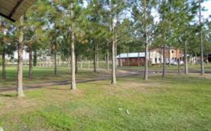 El Portal - Casa de 2 dormitorios - 6