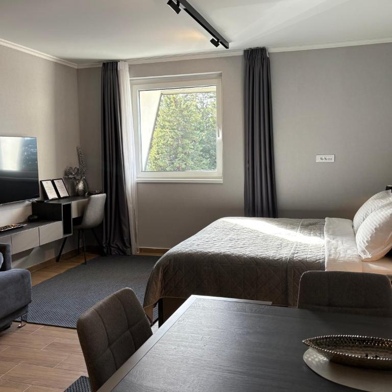 Mountain stars Kopaonik - One-Bedroom Apartment - 1