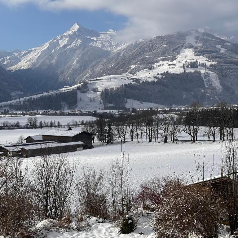 Haus Wenger Mountain View & Swimming Pool - Studio Apartment - 12
