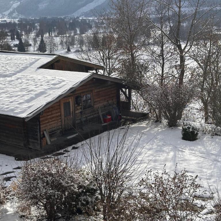 Haus Wenger Mountain View & Swimming Pool - Studio Apartment - 13