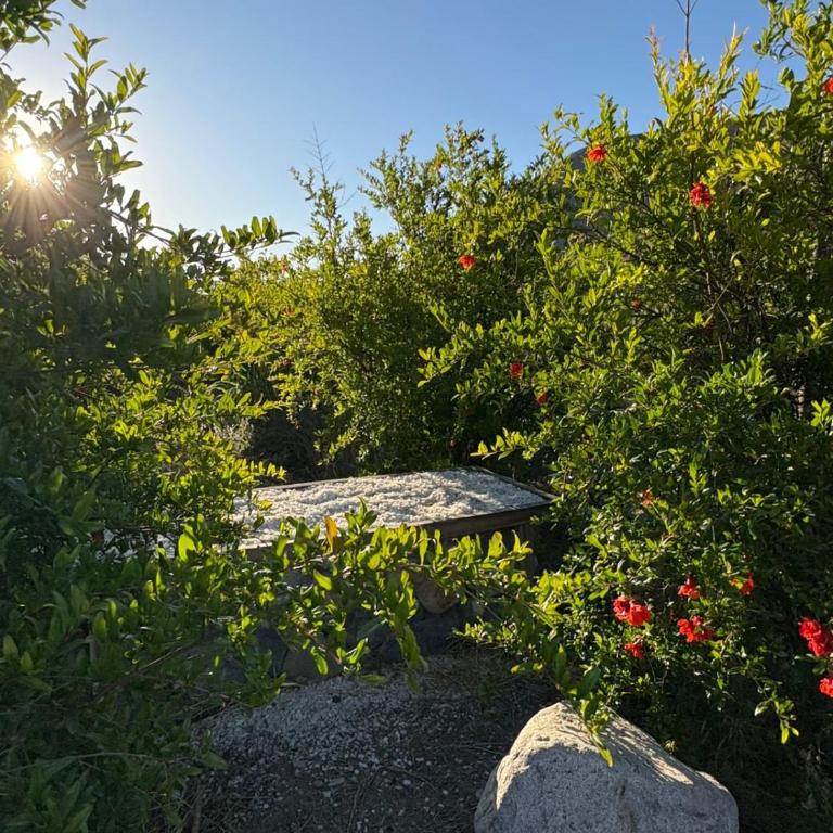 VALLE DEL ELQUI,Diaguitas, Vicuña - Casa de 3 dormitorios - 21