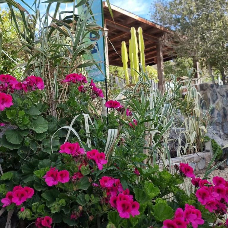 Pedal Paradise Tongoy - Casa de 3 dormitorios - 46