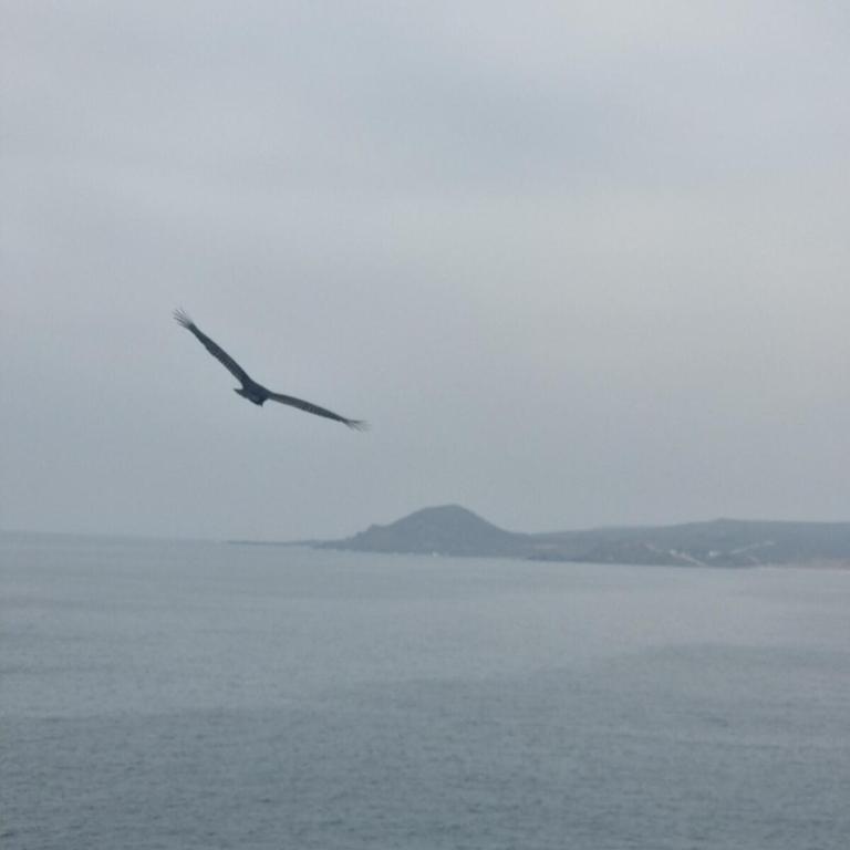 Pedal Paradise Tongoy - Casa de 3 dormitorios - 68