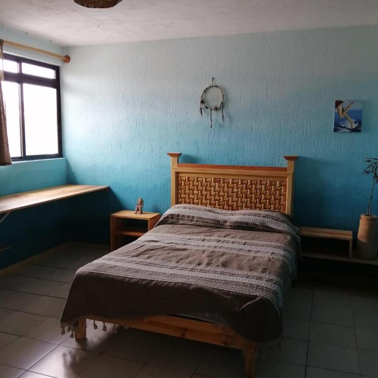 Casa del Árbol Hostel Xochimilco - Habitación Doble - 3
