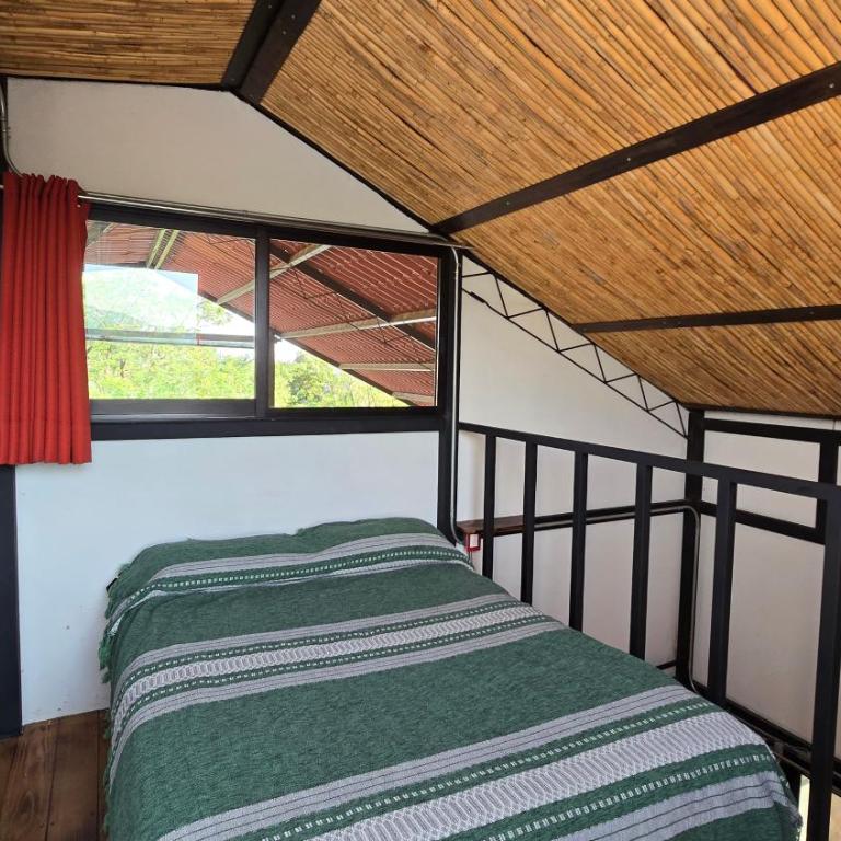 Casa del Árbol Hostel Xochimilco - Habitación Doble - 1