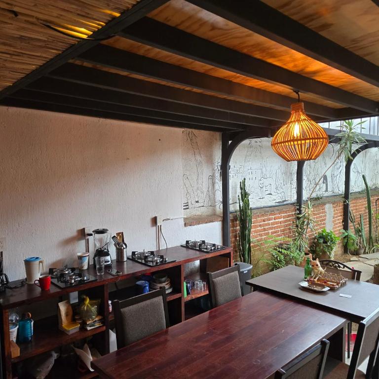 Casa del Árbol Hostel Xochimilco - Cama en habitación compartida mixta de 8 camas - 4