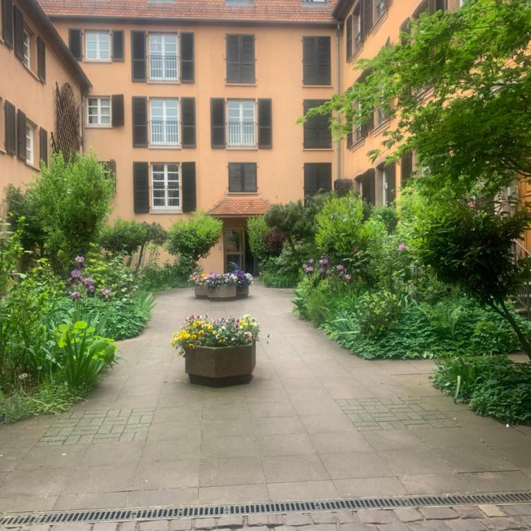 Petit Paradis 74 grand rue - Two-Bedroom Apartment - 1