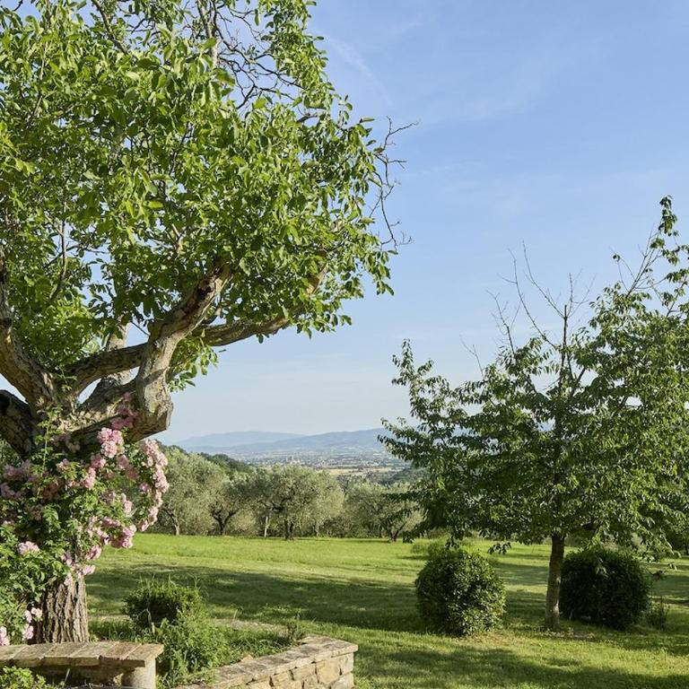 La Sentinella Assisi Casolare storico e piscina - Villa con Piscina Privata - 42