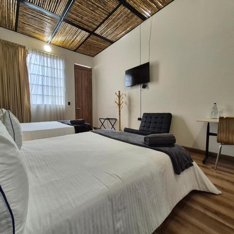 Pepe's House Usaquén Bogotá - Small Hotel - Superior Double Room with Two Double Beds - 3