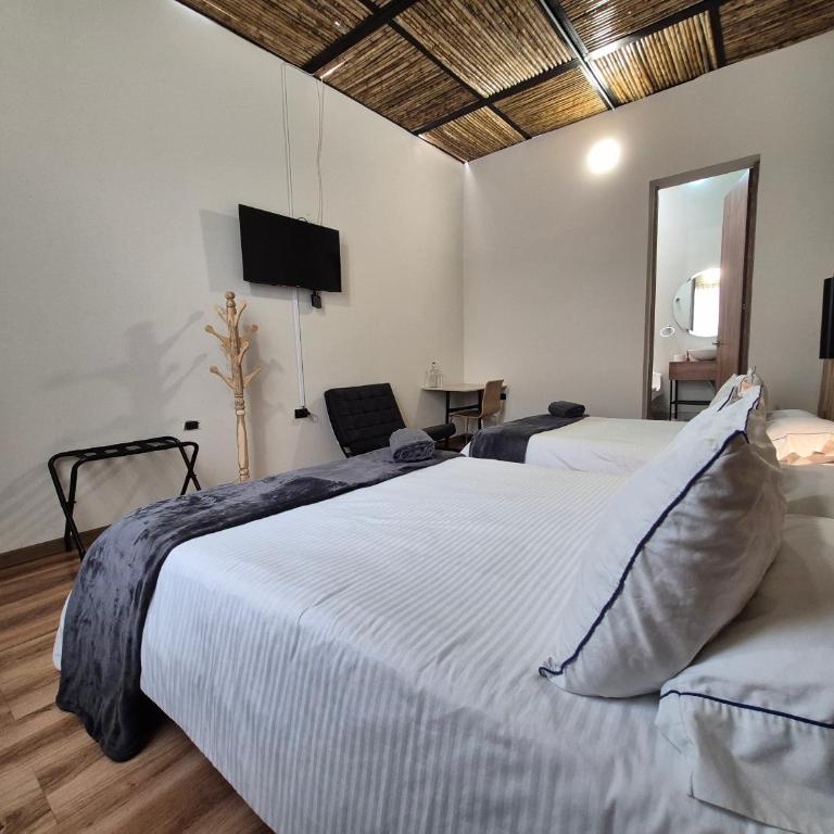 Pepe's House Usaquén Bogotá - Small Hotel - Superior Double Room with Two Double Beds - 5