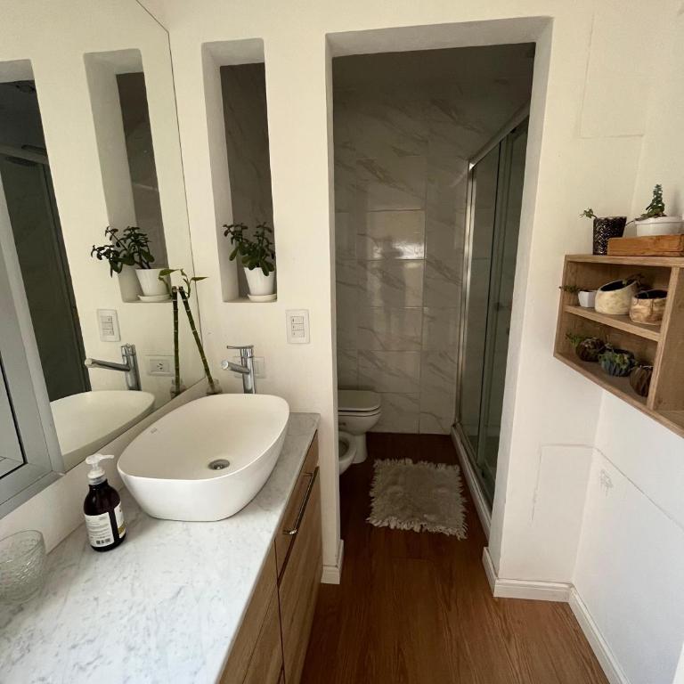 Pol Departamento - Apartamento de 1 dormitorio - 11