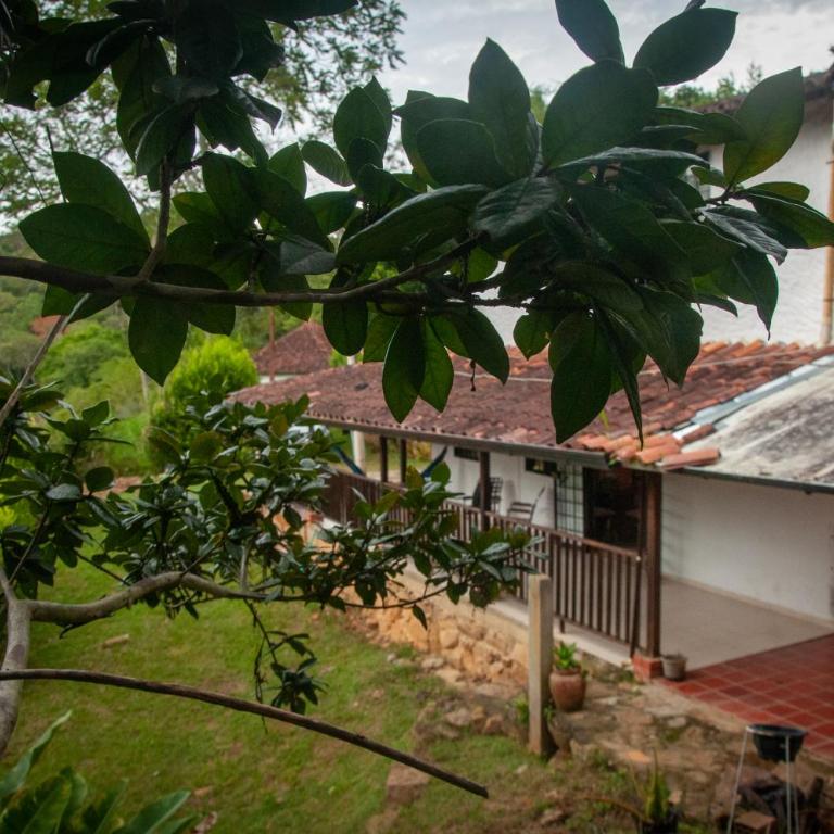 Finca campestre San Juan, un paraíso en medio de la naturaleza - Casa - 21