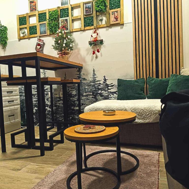 Apartman DB Jovanovic Kopaonik - One-Bedroom Apartment - 12