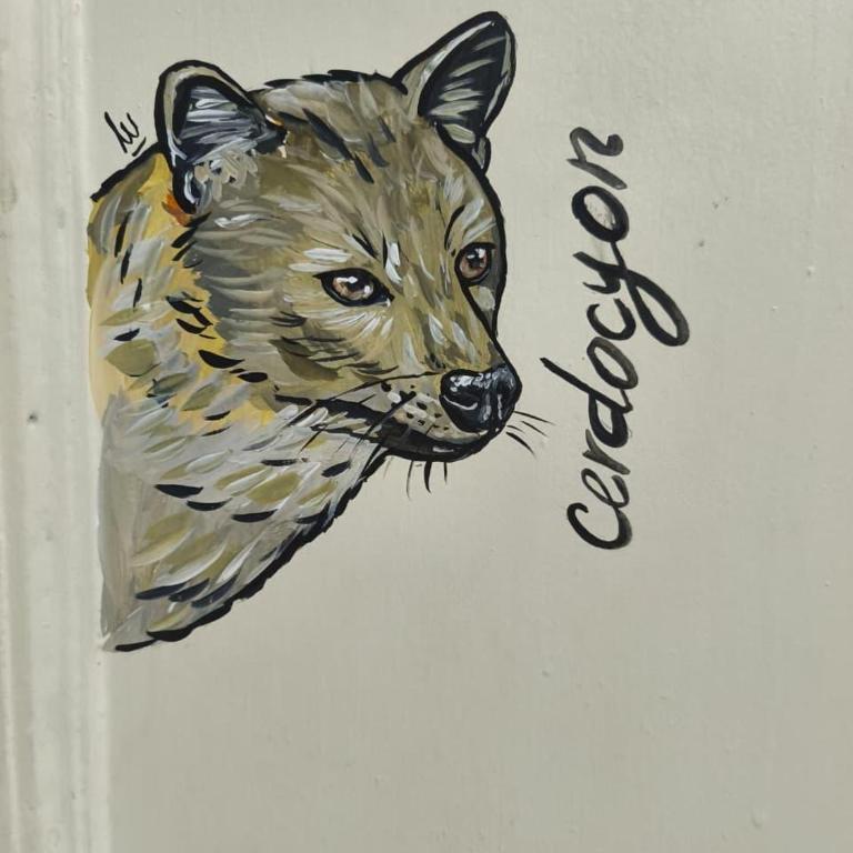 Casa Prado Centro - Habitación Doble con baño privado - 3