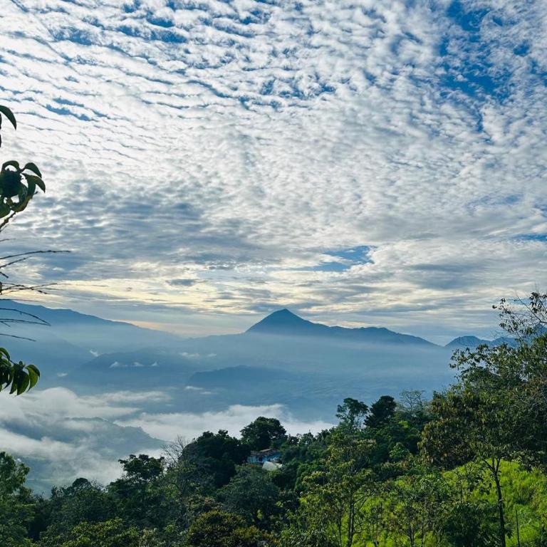 Titiribi-Antioquia- Cabaña el sol - Habitación Deluxe (2 adultos + 1 niño) - 26