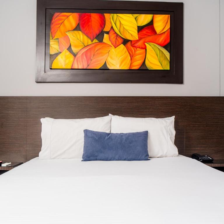 One Sixteen Hotel - Habitación Estándar - 14
