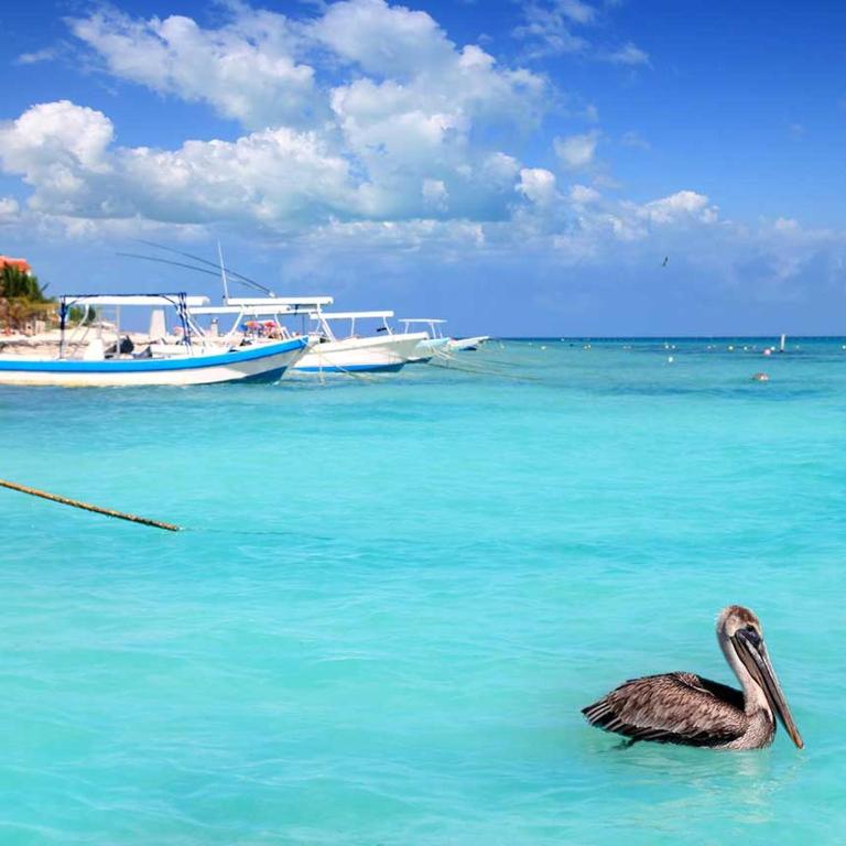 Oceanfront Luxury 2BR apartment in Puerto Morelos - Two-Bedroom Apartment - 27