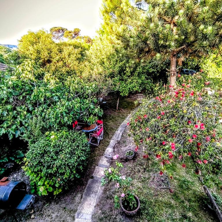 Lala Gesell Center 1 - One-Bedroom Apartment - 4