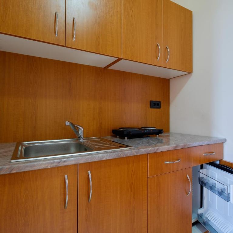 Villa Bulevar - Porodični Apartman sa 2 Spavaće Sobe, Kuhinjom i Terasom - 12