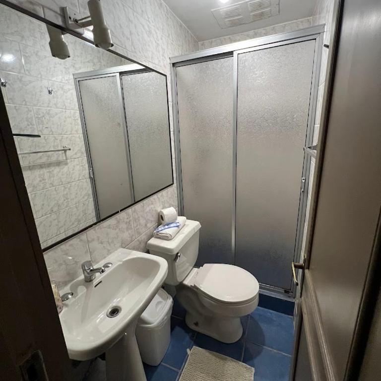 Aloja Hotel - Frente al Mall Portal Osorno - Superior Double Room - 4