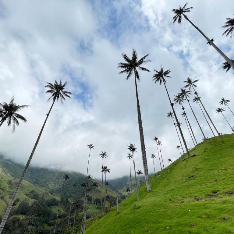 Apartamento en Armenia cerca al Parque del café y Cócora - Apartamento de 2 dormitorios - 8