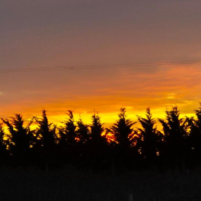 Casa en Chapa - Casa de 2 dormitorios - 13