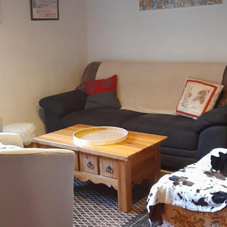 Appartement de charme 3 chambres avec jardin - Animaux admis, Parking - 6 personnes - FR-1-836-47 - Appartement - 9