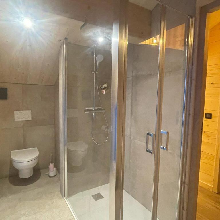 Chalet de standing 12 personnes à Nancroix, avec WIFI et parking privé - FR-1-411-1005 - Chalet - 12