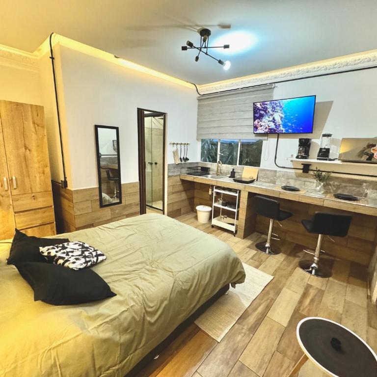 loft privado y centrico en condesa A15-4 - Apartamento de 1 dormitorio - 9