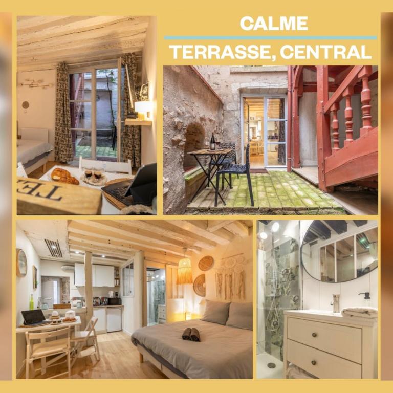 Blois hypercentre, calme, charme avec terrasse - Monolocale con Terrazza - 2