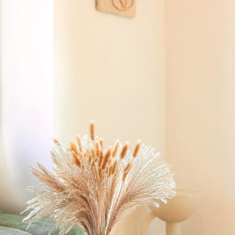 Apartment near Croisette and Cannes festival - Appartement 1 Chambre - 17
