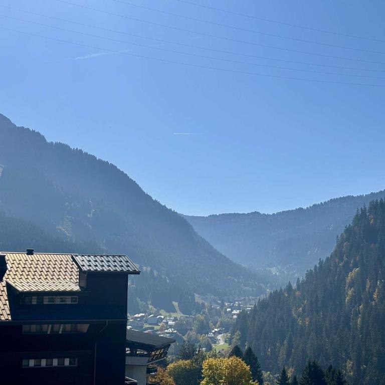 Soldanelles A15 : Votre cocon lumineux au centre de Châtel - Appartamento con 3 Camere da Letto - 4