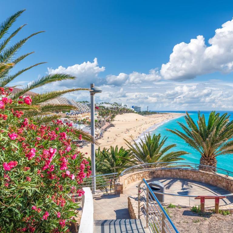 Caleta Paraiso Sea View 137 - One-Bedroom Apartment - 67