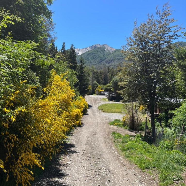 Casa moderna en el bosque - Casa de 2 dormitorios - 43
