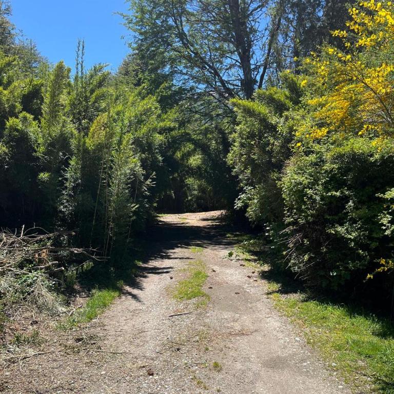Casa moderna en el bosque - Casa de 2 dormitorios - 44