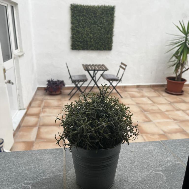 Lofts Miriam - Apartamento - 9