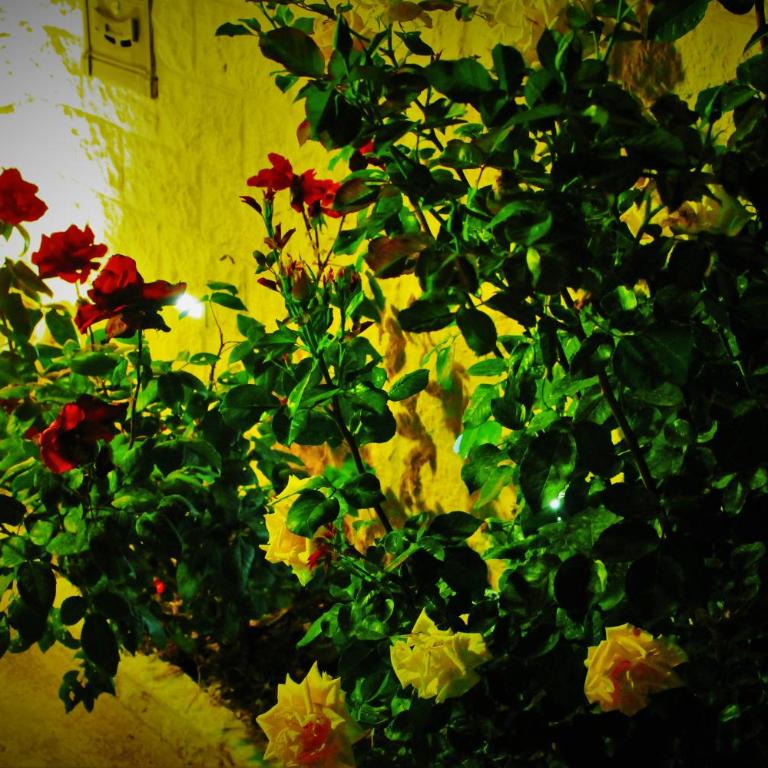 Modica Blu Oceano - Casa con 2 Camere da Letto - 90