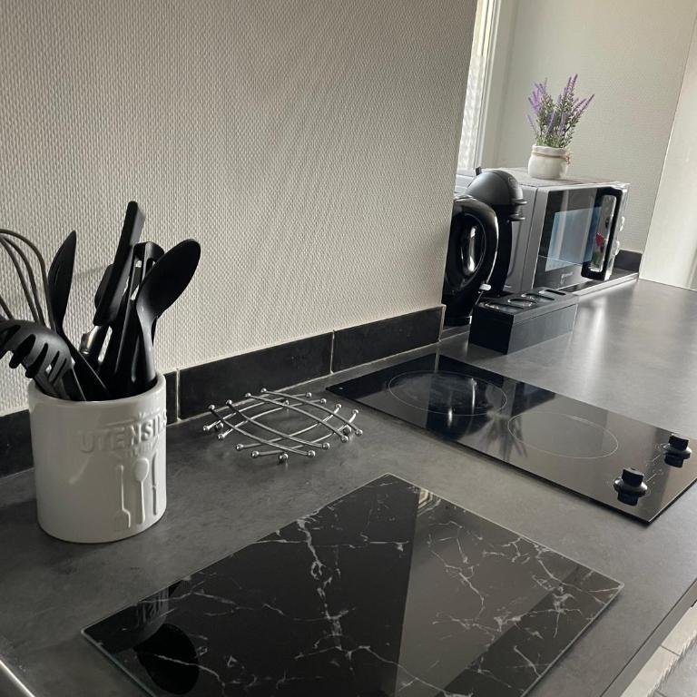 T2 Cosy avec jardin et parking gratuit à Troyes - Apartment mit 1 Schlafzimmer - 4