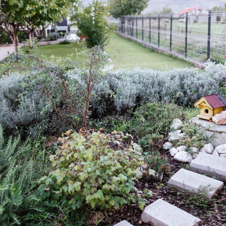 Villa Lotta & Nolla - Villa with Swimming Pool - 44