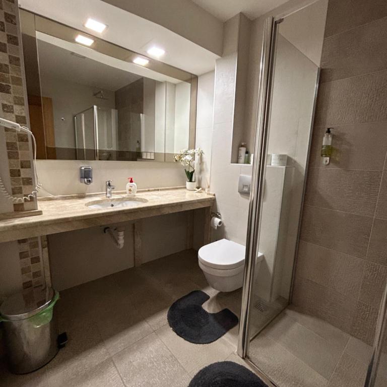 Vila borova - One-Bedroom Apartment - 13