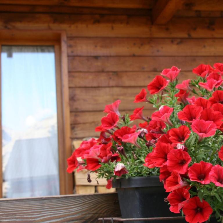 Le Queyrellin hameau des Chazals Nevache Hautes Alpes - Chalet - 14