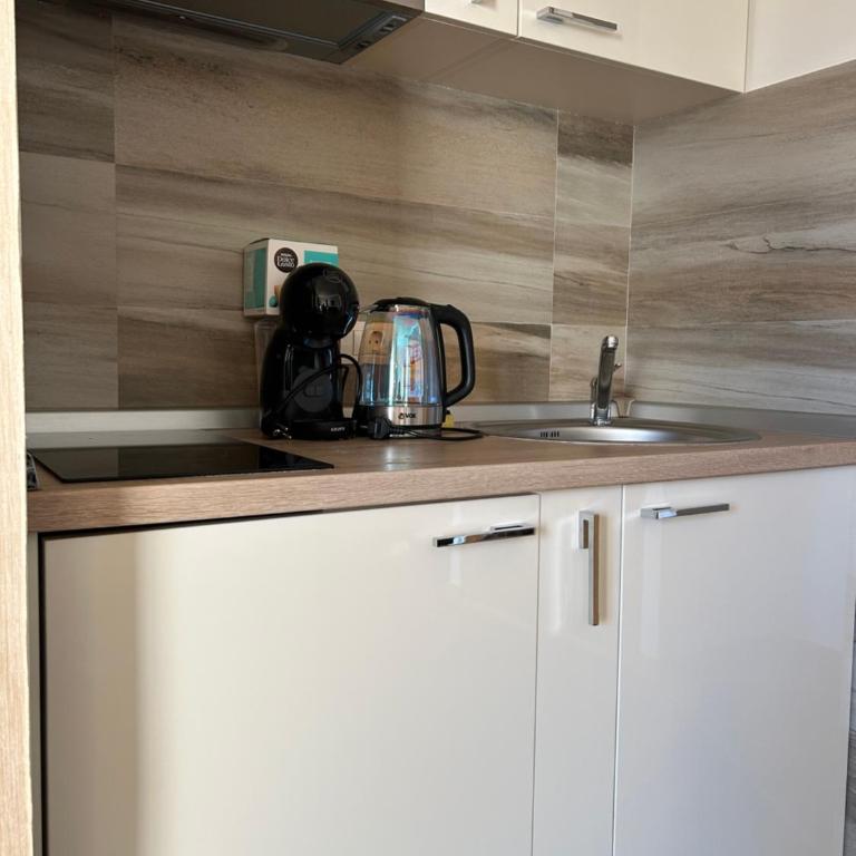 Vila borova - One-Bedroom Apartment - 10