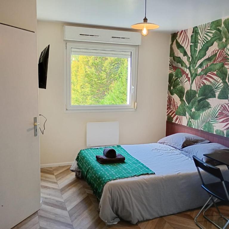 New studio near ARENA - Apartment mit 1 Schlafzimmer - 1