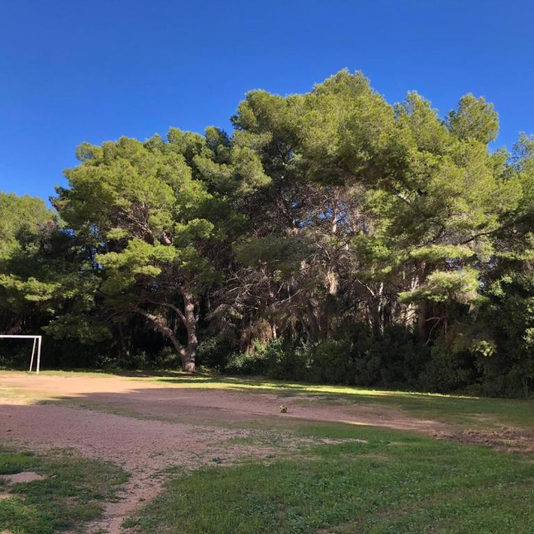 Torres del Saler, Gola de Puchol, Valencia - Apartamento - 26