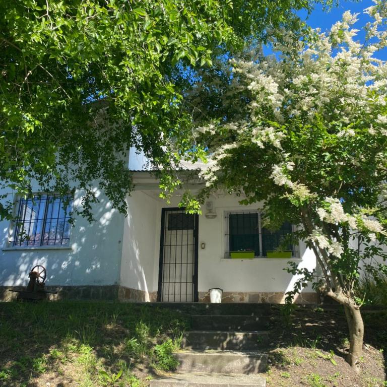 Casa Carmela - Two-Bedroom House - 4