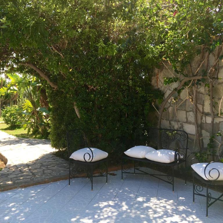 Villa lo Iacono - Villa con piscina privada - 23