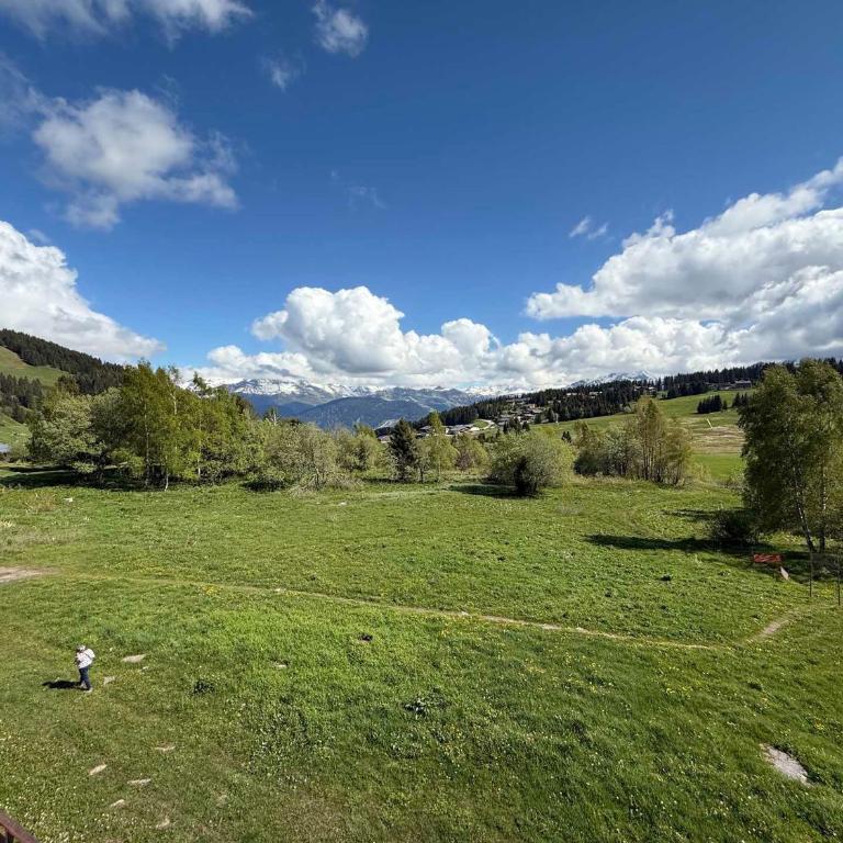 Charmant appartement 5 pers aux Saisies avec cheminée et balcon - FR-1-293-222 - Apartamento (5 adultos) - 7